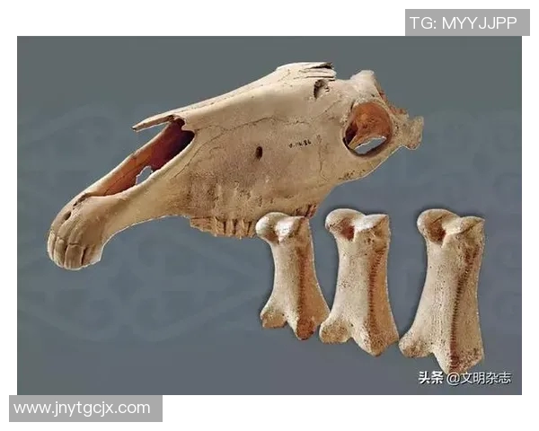 足球运动的起源探秘及其与古代文明的关系分析